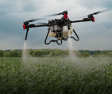 Agriculture